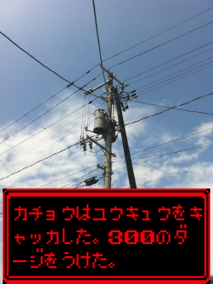 もうだめかも(笑)